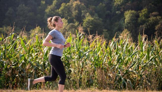 健身, Mf, 步过程中 健身, Mf, 步过程中