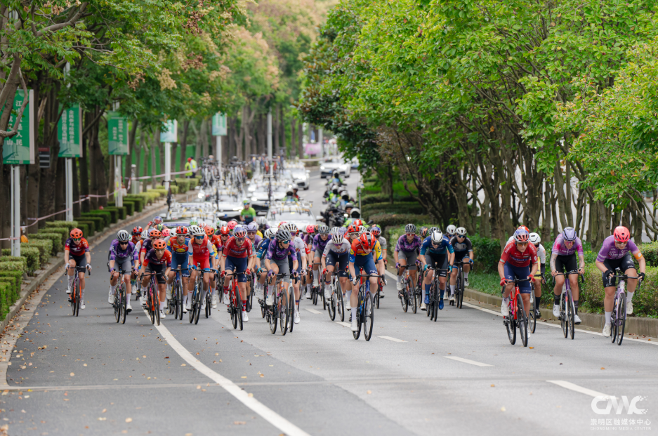 十余载耕耘, ktoxA